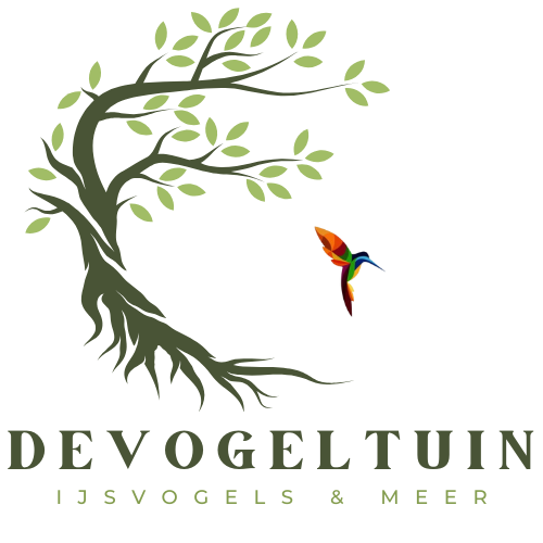 Vogelhut fotografie | De Vogeltuin Helmond , beleef vogels, zoogdieren,  ijsvogels & meer |